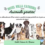 Caterina 3*